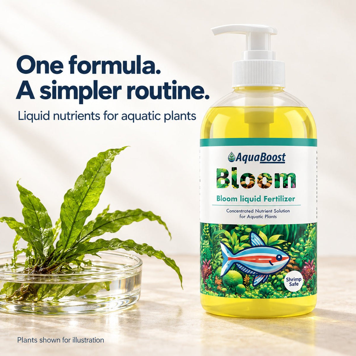 Bloom All-in-One Liquid Plant Fertilizer - Wild Pet Supply