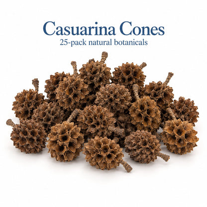 Casuarina Cones – 25 Pack Natural Botanicals - Wild Pet Supply