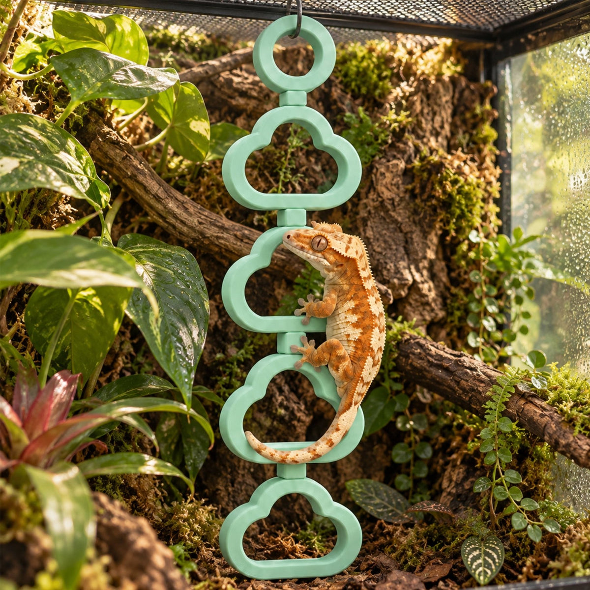 Climb Clouds – Rotating Gecko Terrarium Decor - Wild Pet Supply