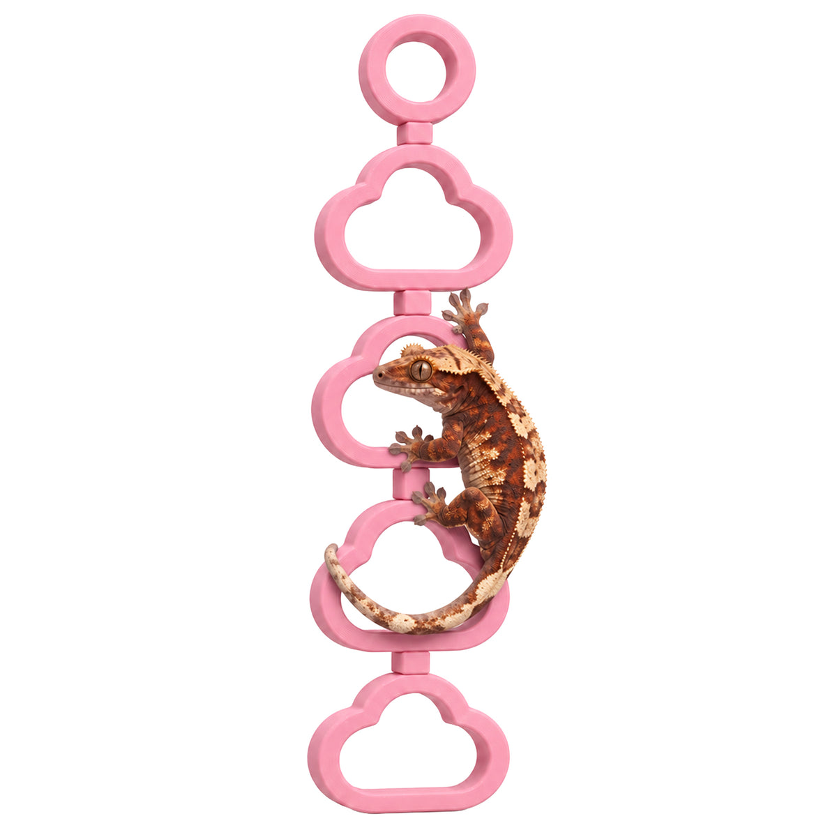Climb Clouds – Rotating Gecko Terrarium Decor