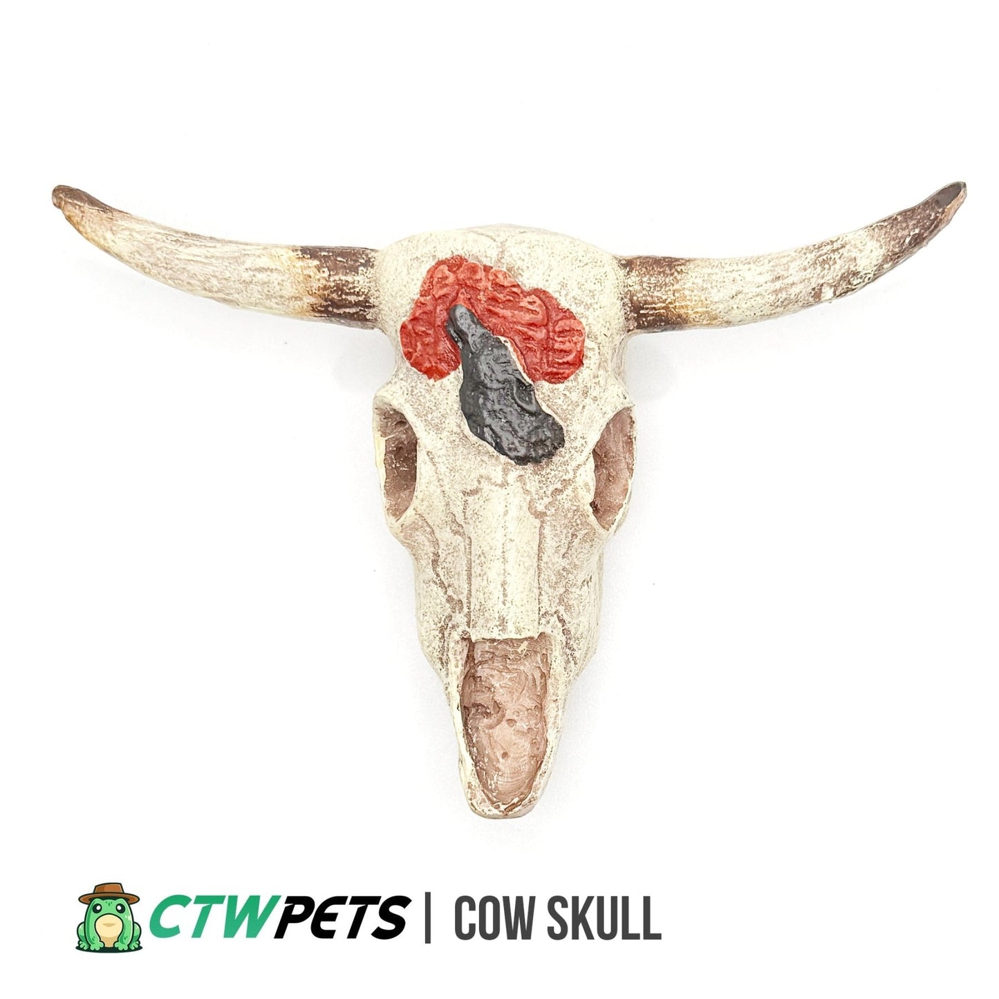 Cow Skull Hide – Desert Enclosure Decor - Wild Pet Supply