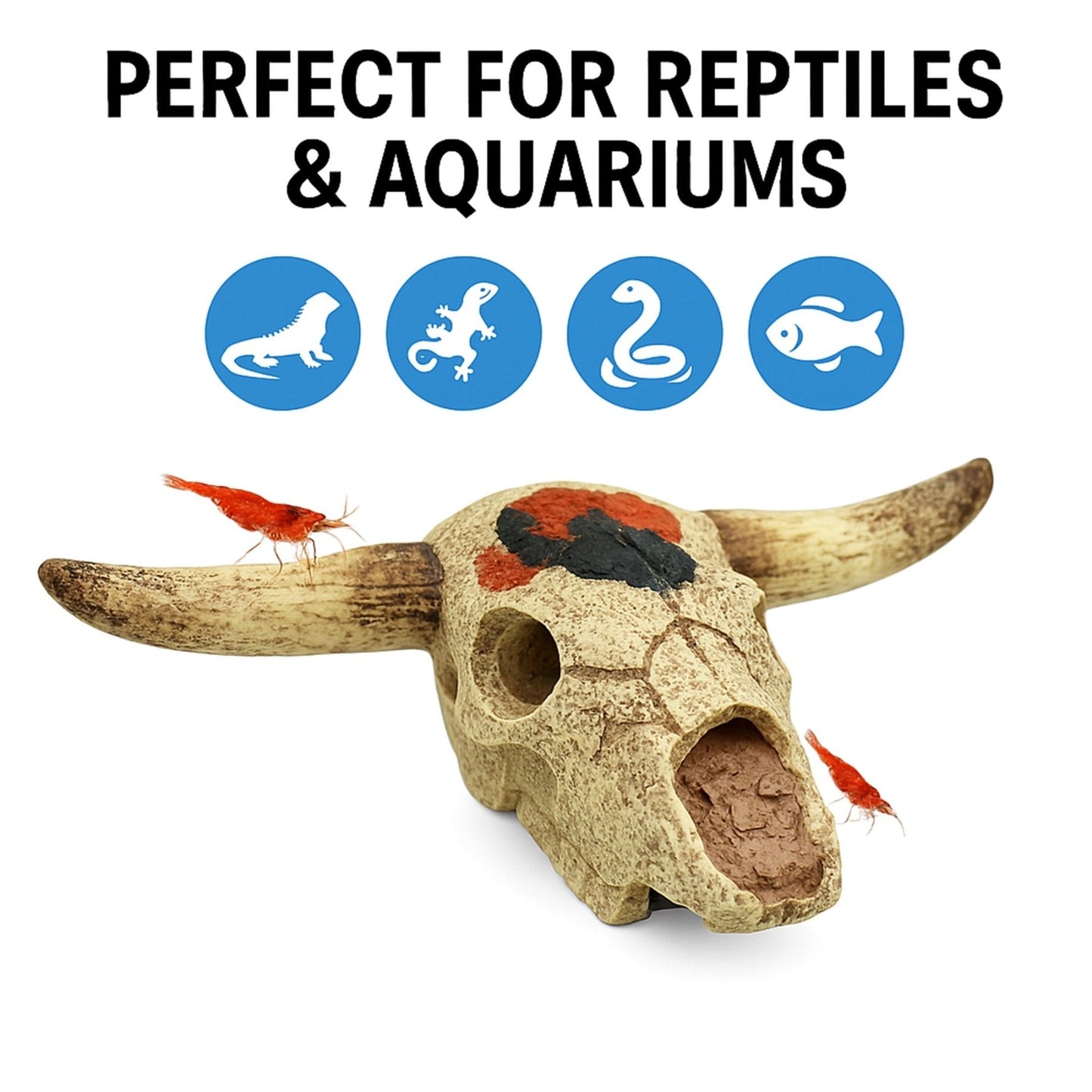 Cow Skull Hide – Desert Enclosure Decor - Wild Pet Supply