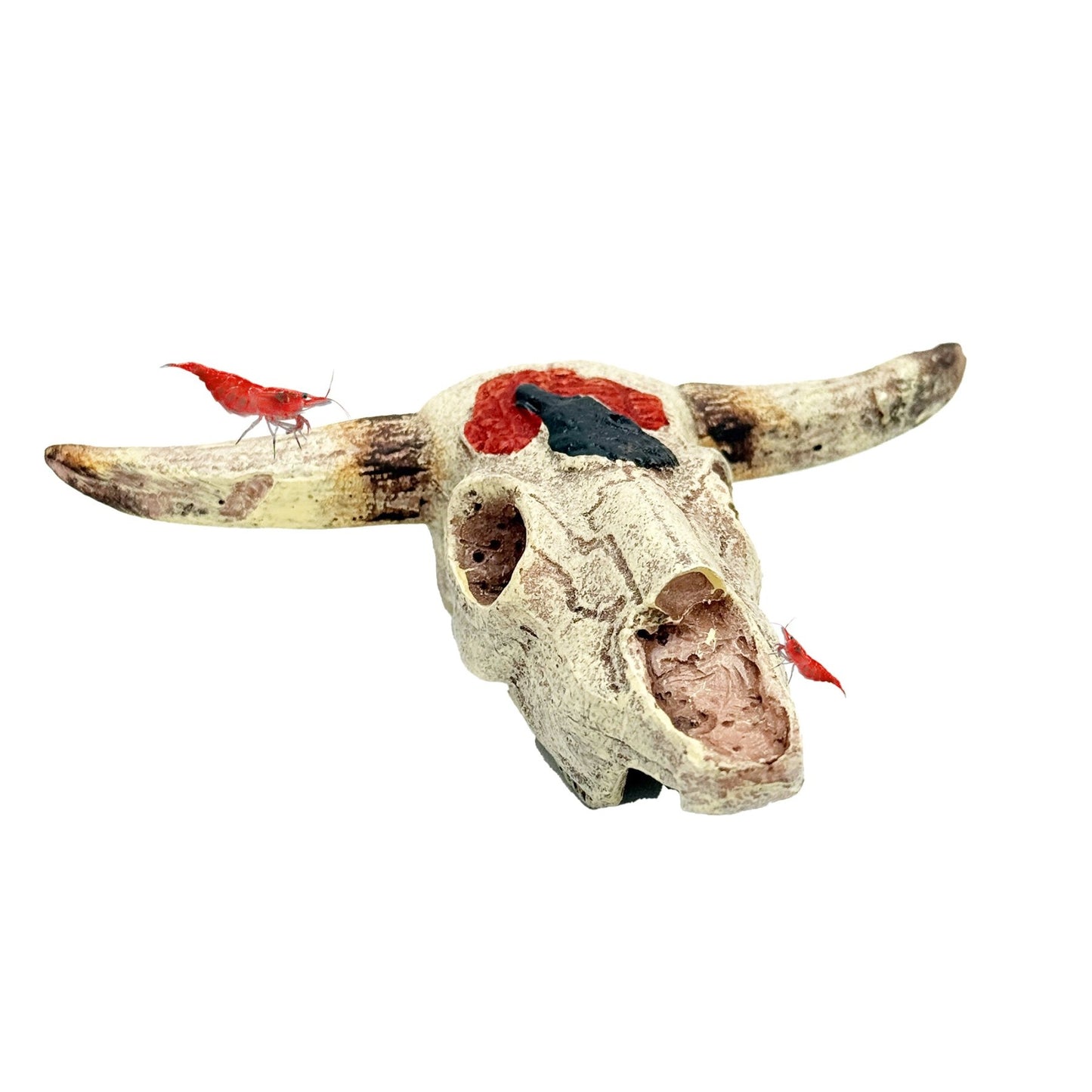 Cow Skull Reptile Hide – Desert - Style Resin Cave for Lizards, Snakes, Geckos & Aquariums - Wild Pet Supply