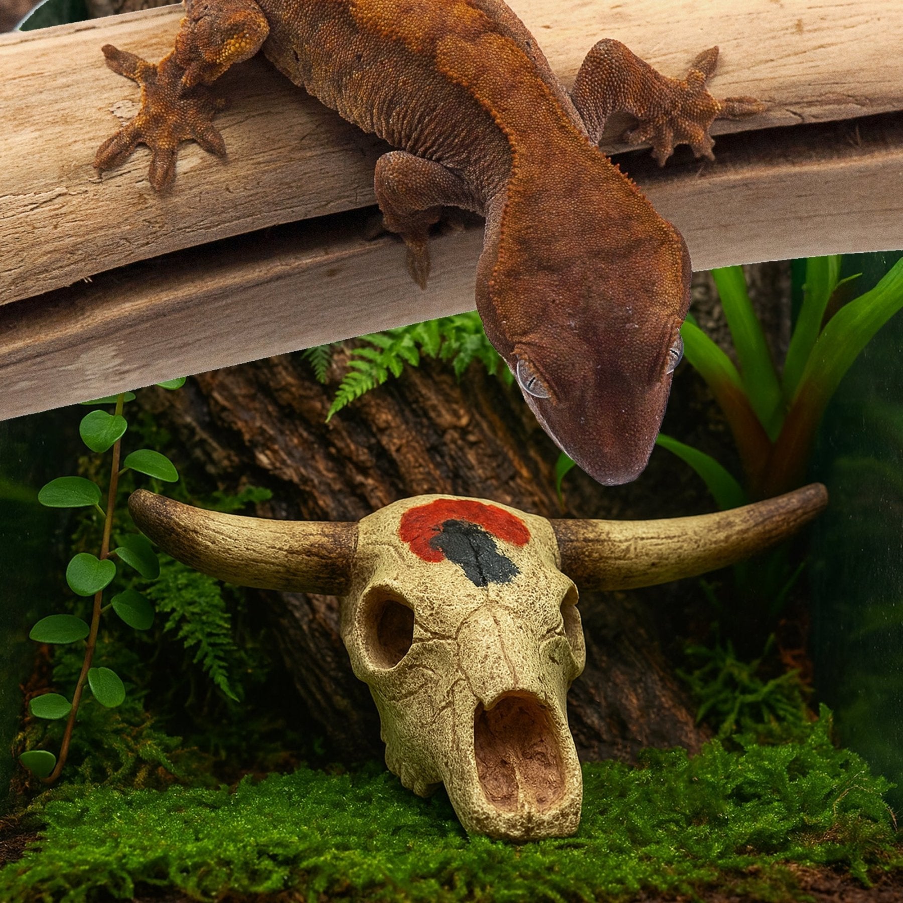 Cow Skull Reptile Hide – Desert - Style Resin Cave for Lizards, Snakes, Geckos & Aquariums - Wild Pet Supply