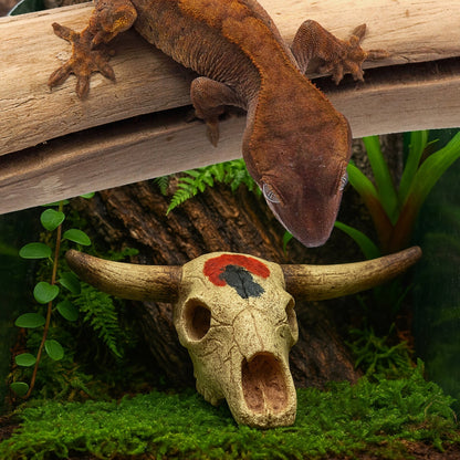 Cow Skull Reptile Hide – Desert - Style Resin Cave for Lizards, Snakes, Geckos & Aquariums - Wild Pet Supply