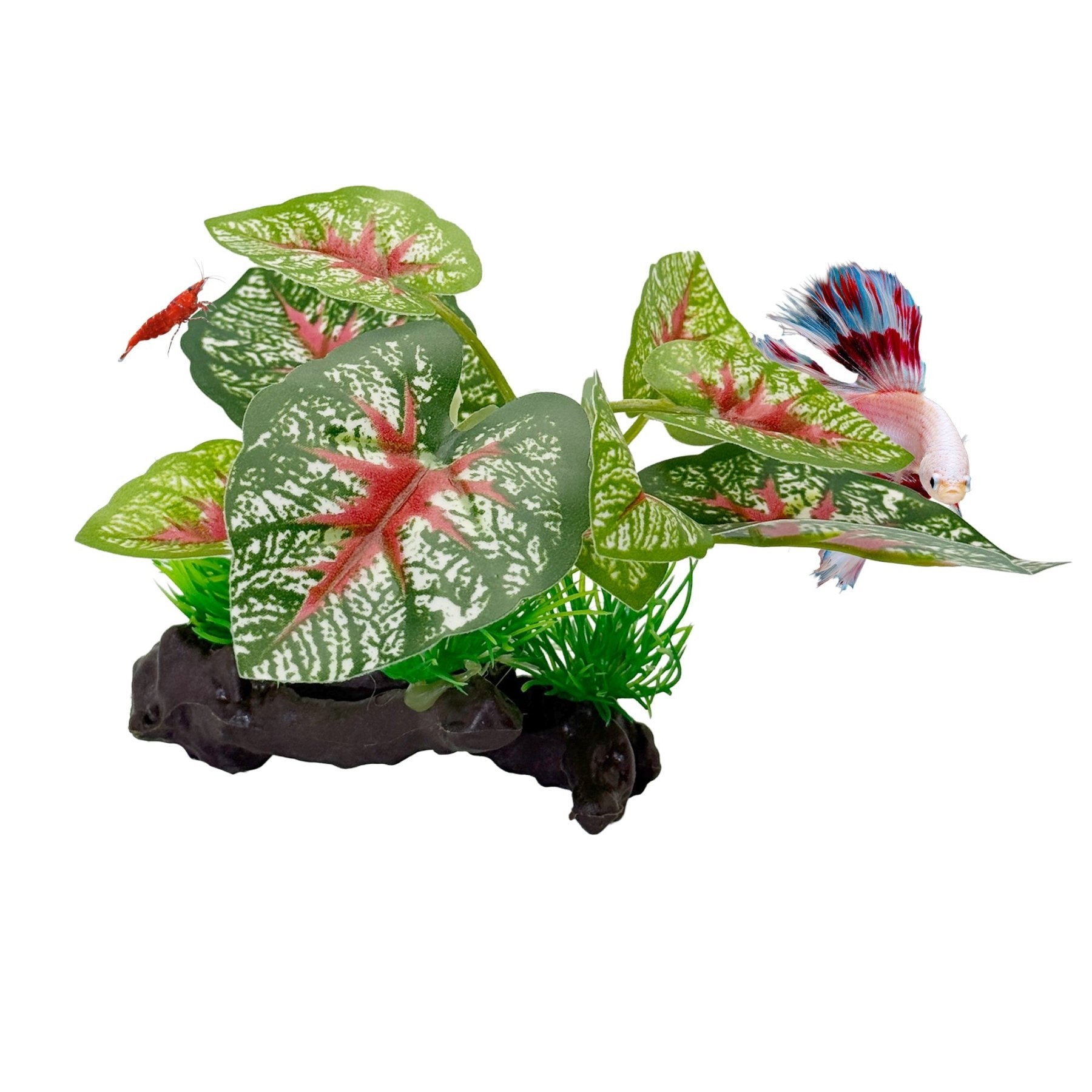 CTWPets Betta Driftwood Decor – Soft Silk Aquarium Plant with Natural Base for Bettas, Shrimp & Tropical Fish Tanks - Wild Pet Supply