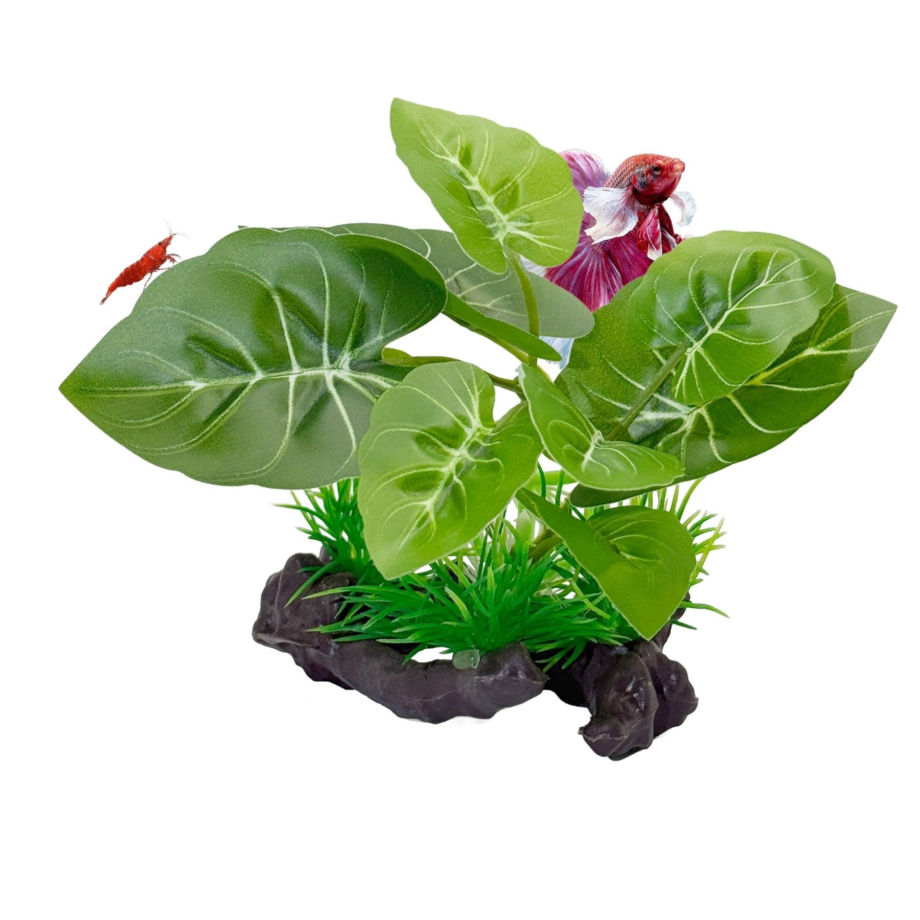 CTWPets Betta Driftwood Decor – Soft Silk Aquarium Plant with Natural Base for Bettas, Shrimp & Tropical Fish Tanks - Wild Pet Supply