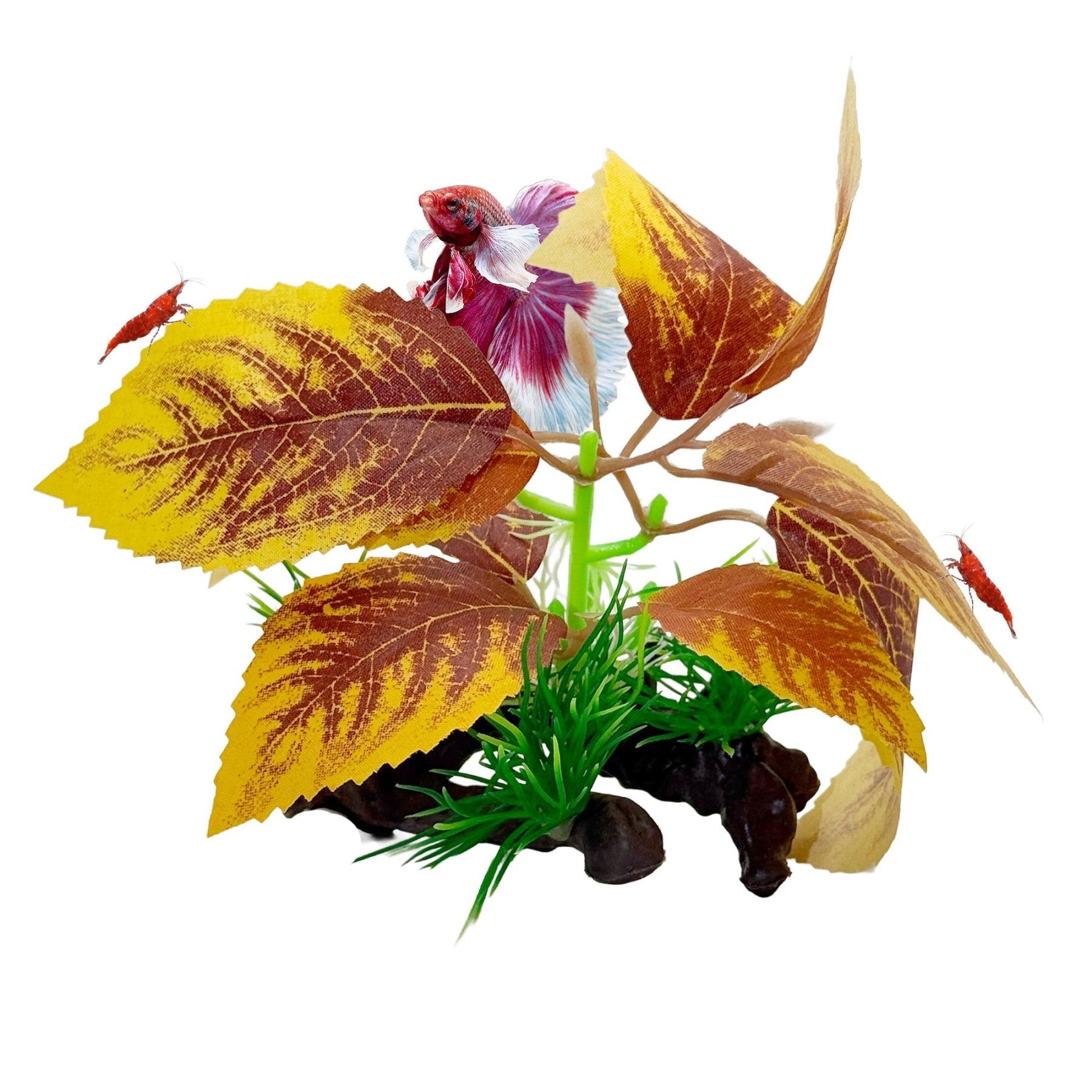 CTWPets Betta Driftwood Decor – Soft Silk Aquarium Plant with Natural Base for Bettas, Shrimp & Tropical Fish Tanks - Wild Pet Supply