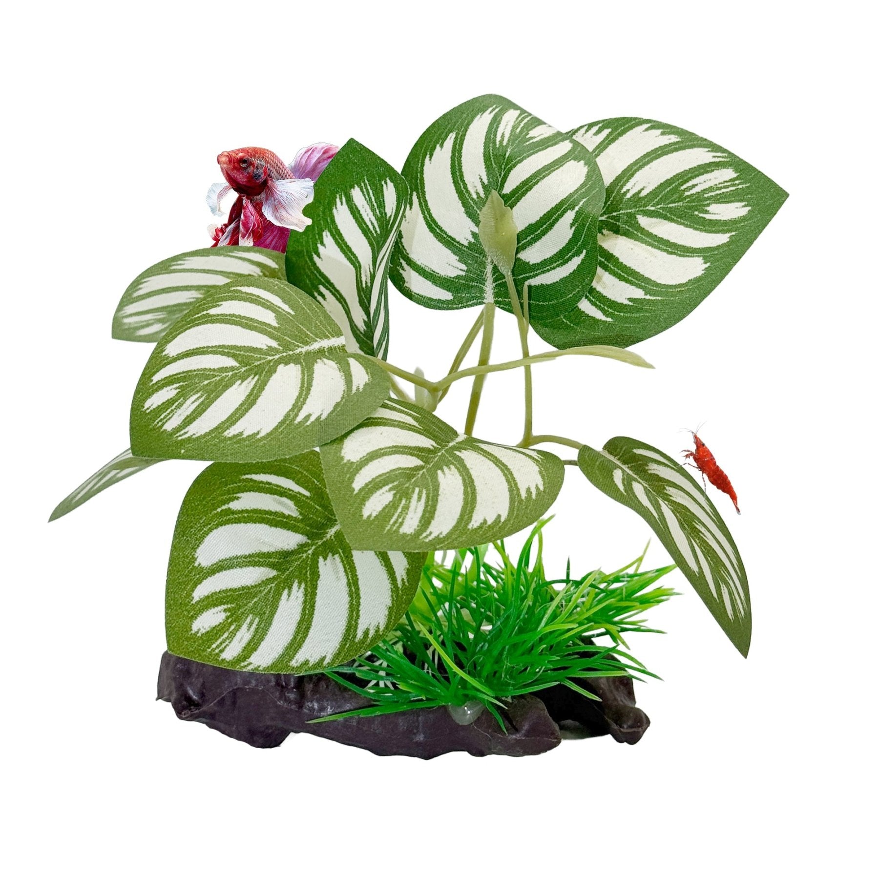 CTWPets Betta Driftwood Decor – Soft Silk Aquarium Plant with Natural Base for Bettas, Shrimp & Tropical Fish Tanks - Wild Pet Supply
