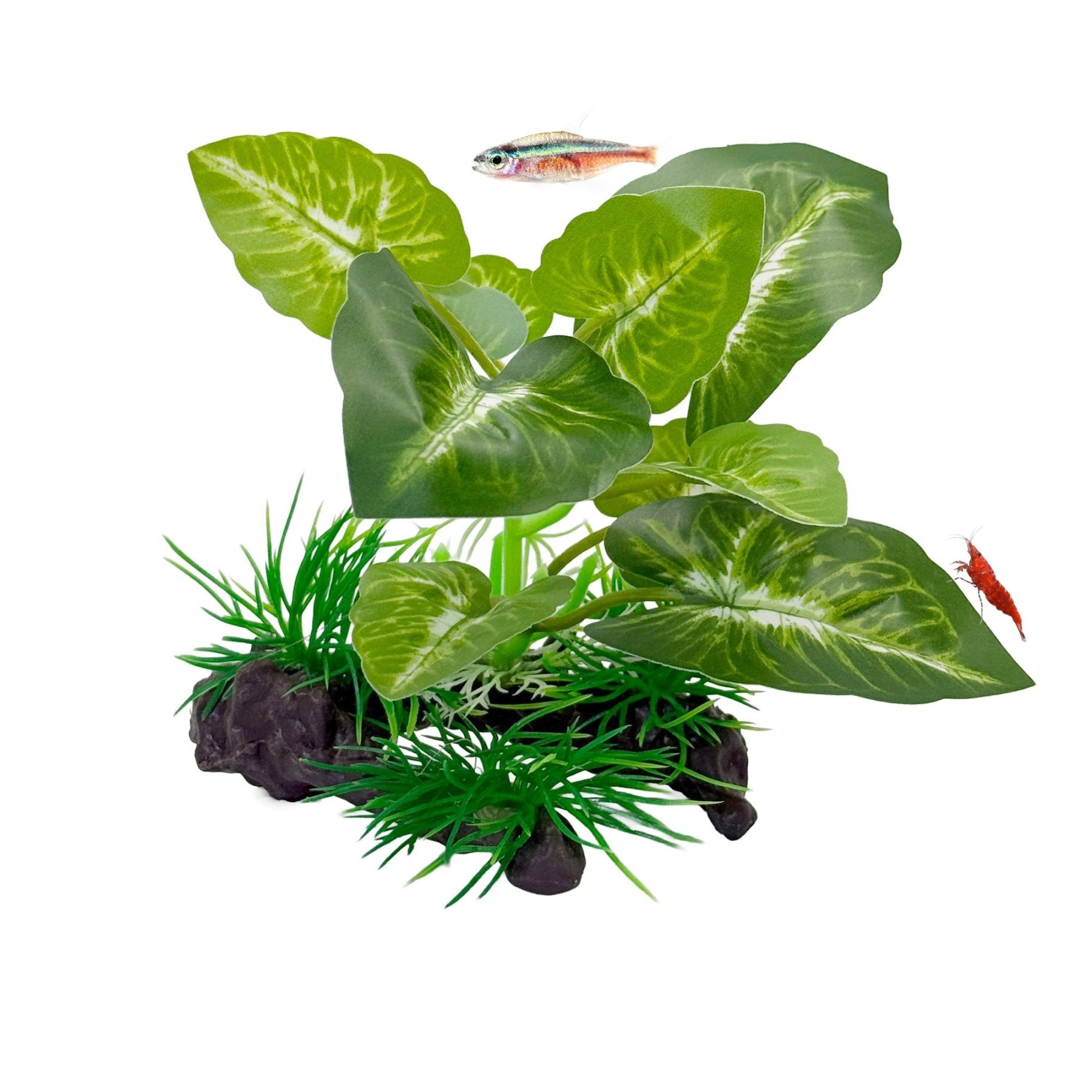 CTWPets Betta Driftwood Decor – Soft Silk Aquarium Plant with Natural Base for Bettas, Shrimp & Tropical Fish Tanks - Wild Pet Supply