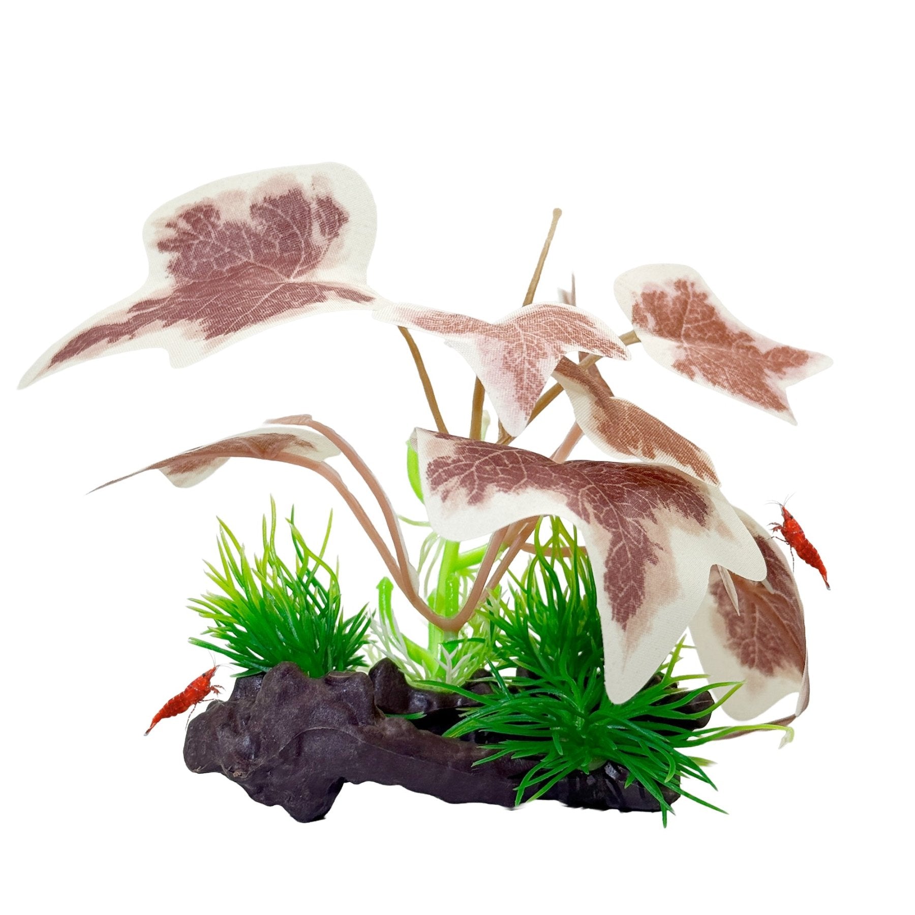 CTWPets Betta Driftwood Decor – Soft Silk Aquarium Plant with Natural Base for Bettas, Shrimp & Tropical Fish Tanks - Wild Pet Supply