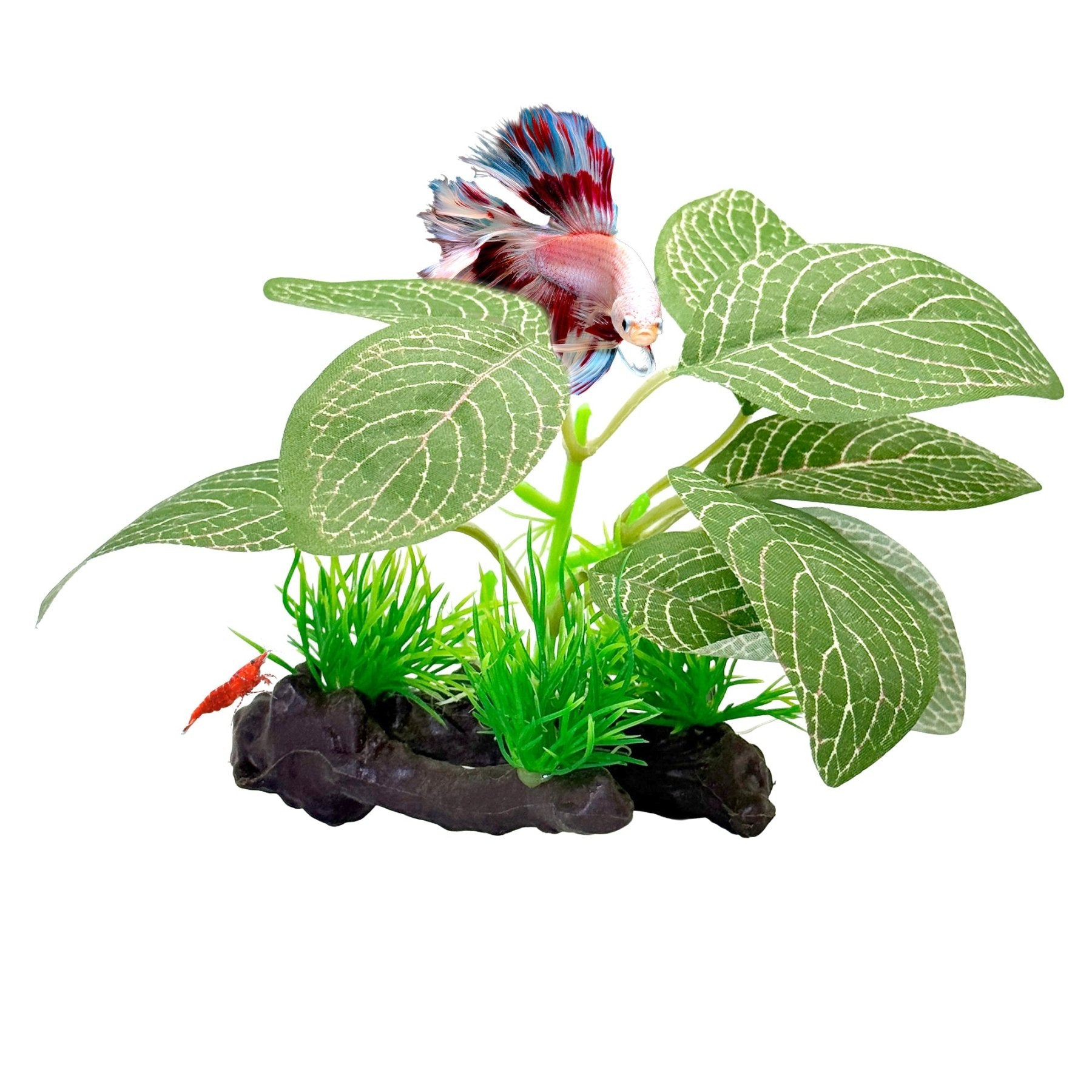 CTWPets Betta Driftwood Decor – Soft Silk Aquarium Plant with Natural Base for Bettas, Shrimp & Tropical Fish Tanks - Wild Pet Supply