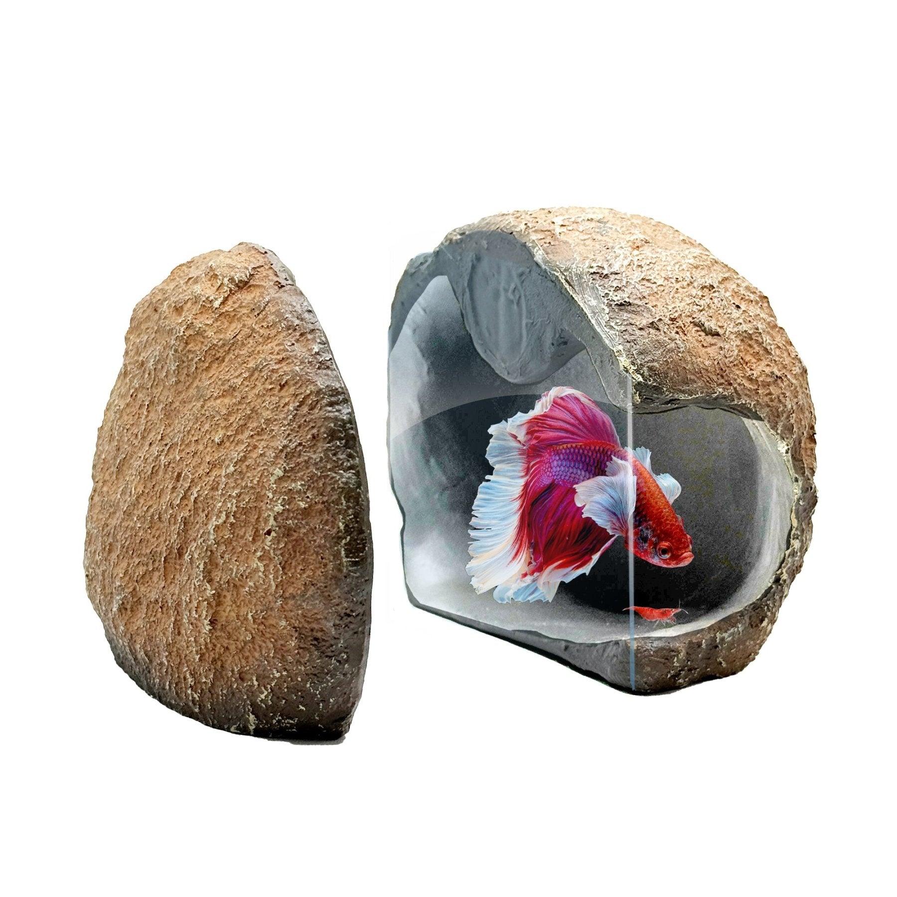 CTWPets Magnetic Betta Fish Rock Hide, Aquarium Decoration, Shrimp Pleco Hiding Cave - Wild Pet Supply