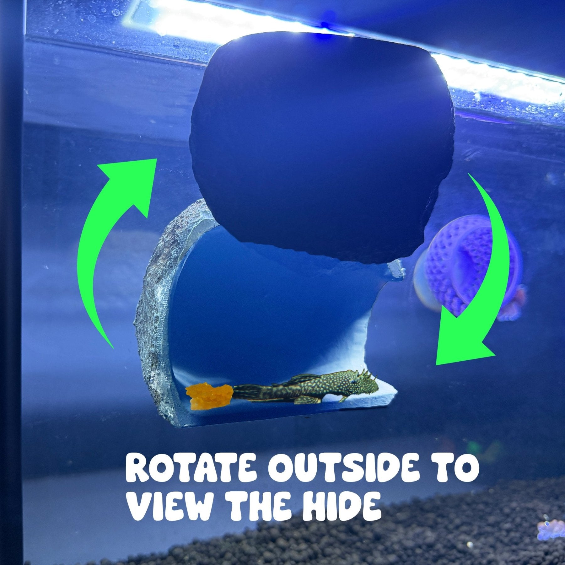 CTWPets Magnetic Betta Fish Rock Hide, Aquarium Decoration, Shrimp Pleco Hiding Cave - Wild Pet Supply