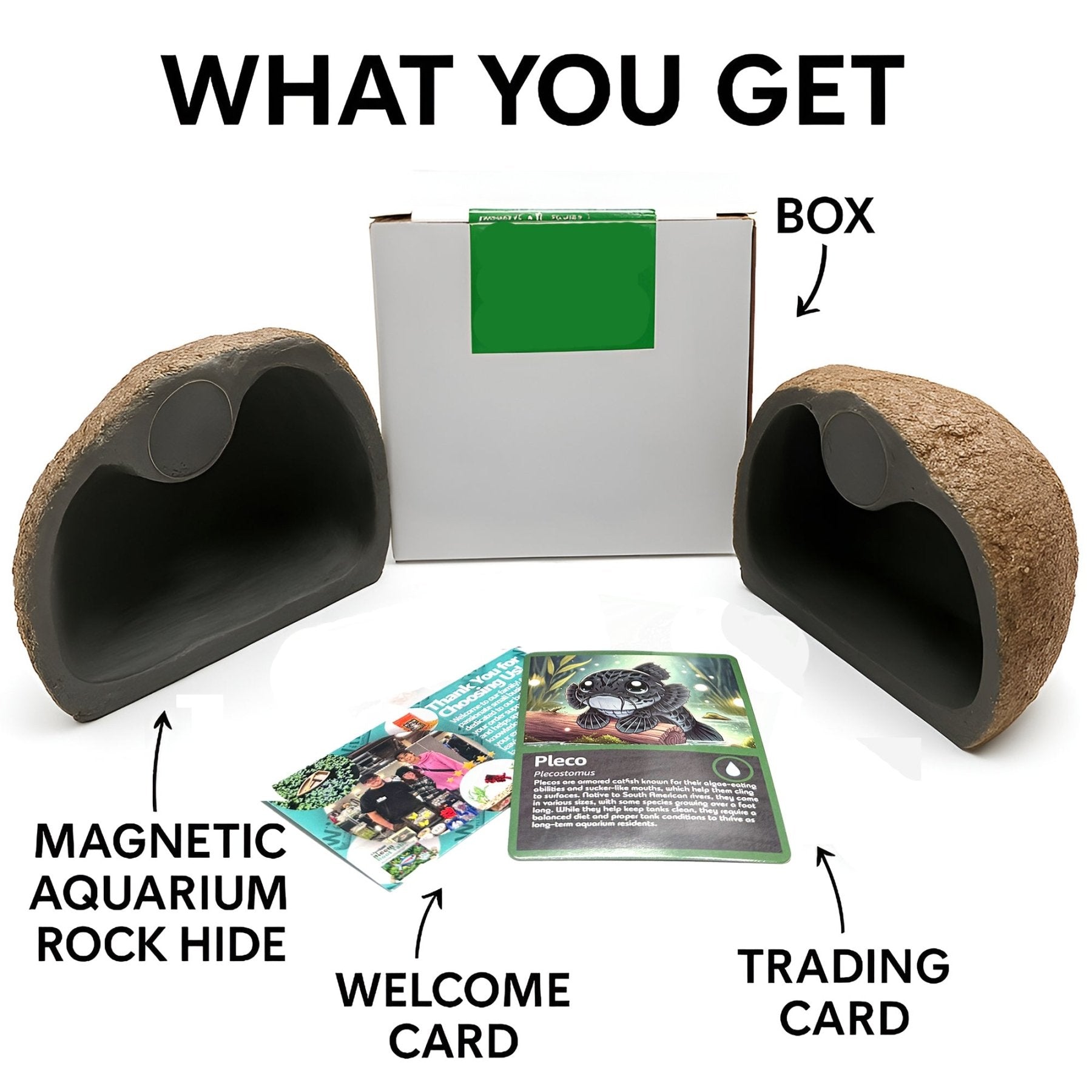 CTWPets Magnetic Betta Fish Rock Hide, Aquarium Decoration, Shrimp Pleco Hiding Cave - Wild Pet Supply