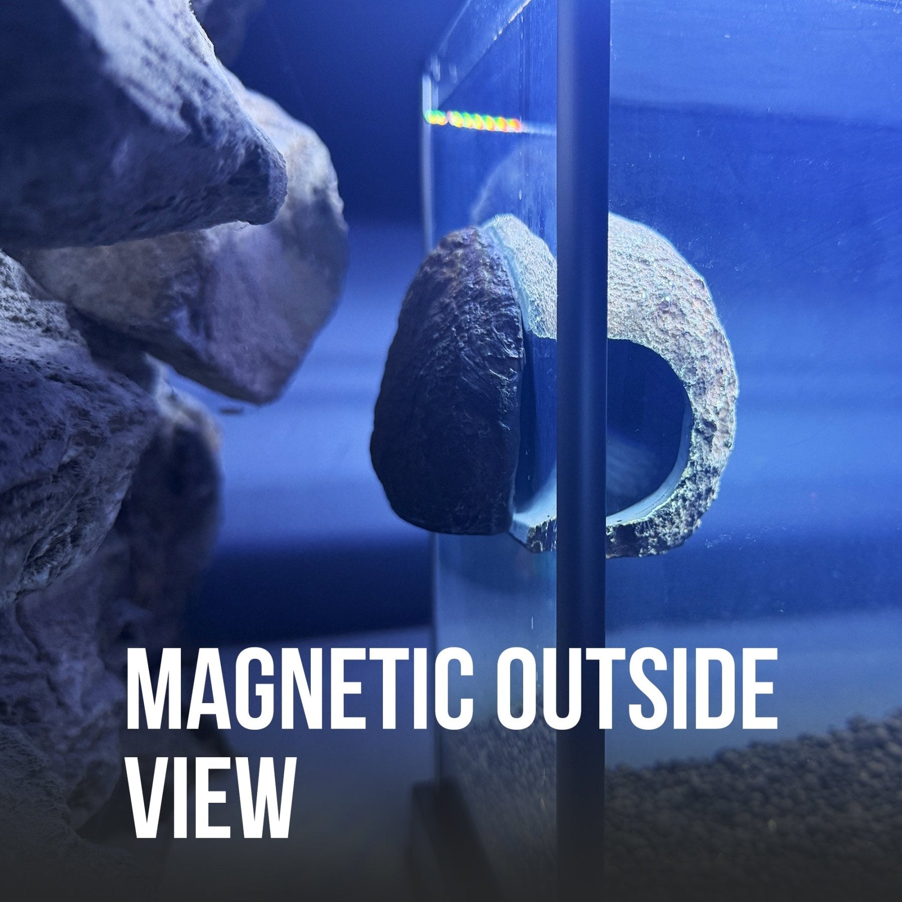 CTWPets Magnetic Betta Fish Rock Hide, Aquarium Decoration, Shrimp Pleco Hiding Cave - Wild Pet Supply