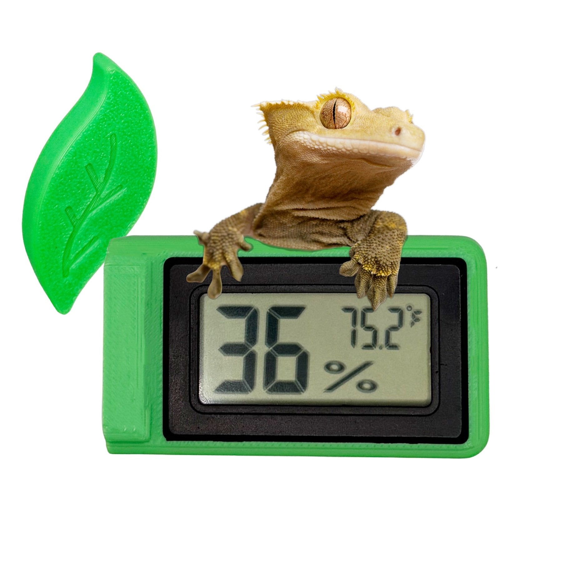 CTWPets Magnetic Leaf Thermometer & Hygrometer for Reptile Terrariums - Wild Pet Supply