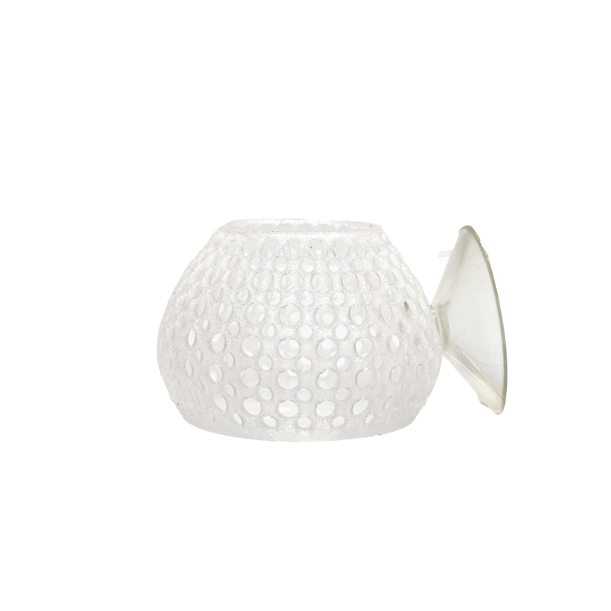CTWPets Natural Betta Bulb Hide - Wild Pet Supply