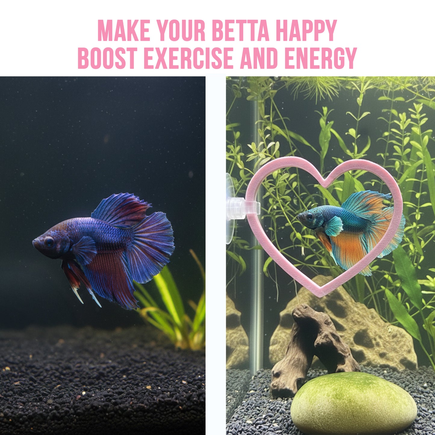 Heart Swim Rings – Betta Exercise Toy 2 Pack