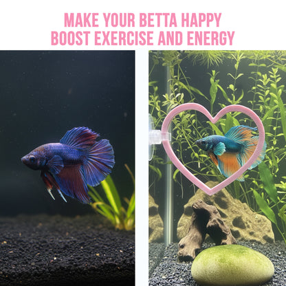 Heart Swim Rings – Betta Exercise Toy 2 Pack