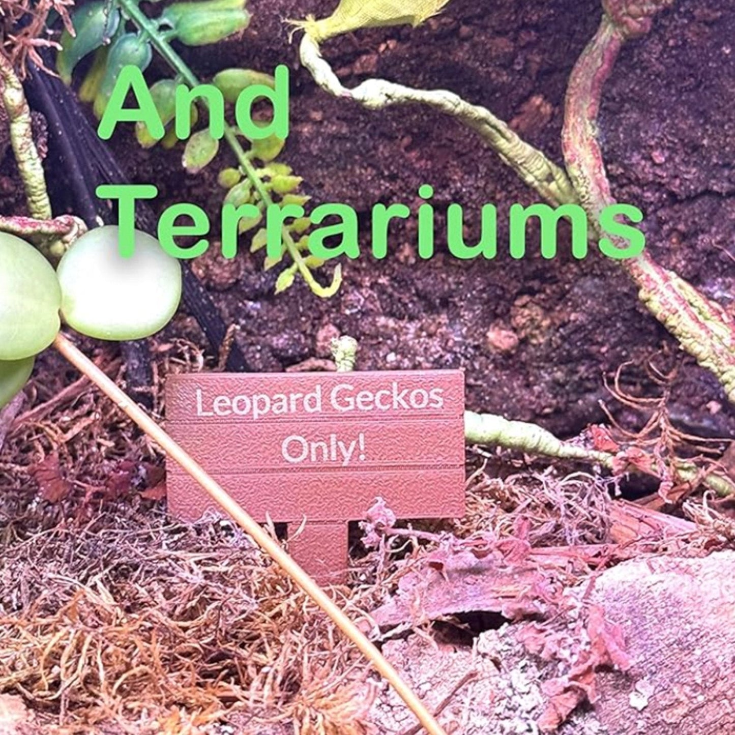 Custom Aquarium Sinking Sign - Wild Pet Supply