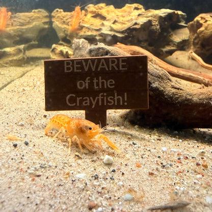 Custom Sinking Aquarium Sign - Wild Pet Supply