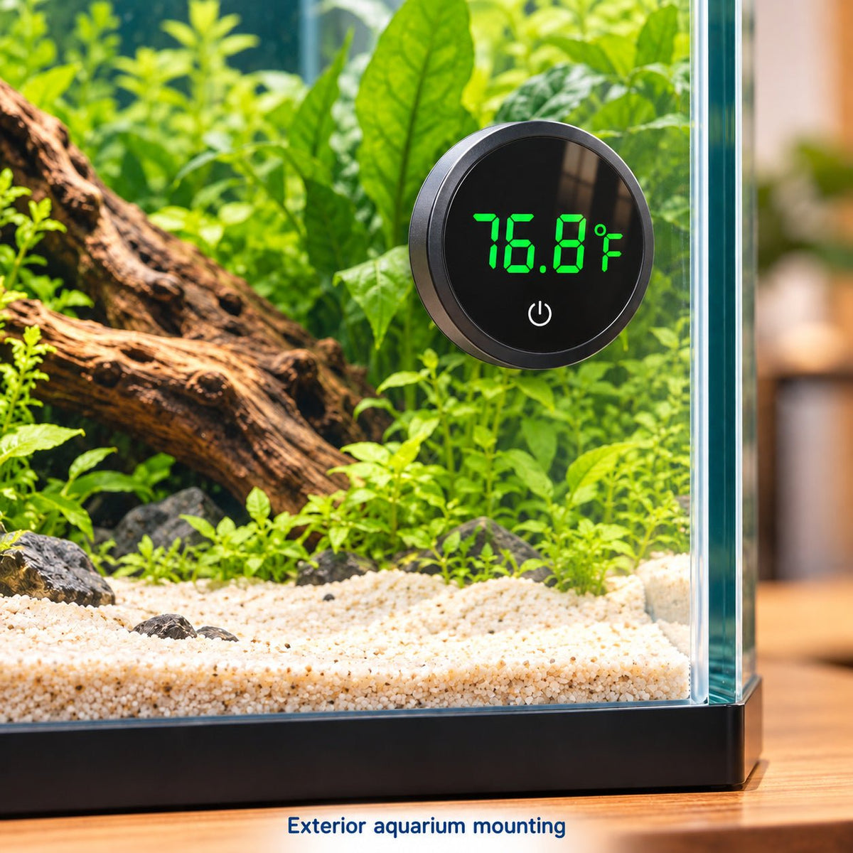 Digital Aquarium Thermometer – LED Display - Wild Pet Supply