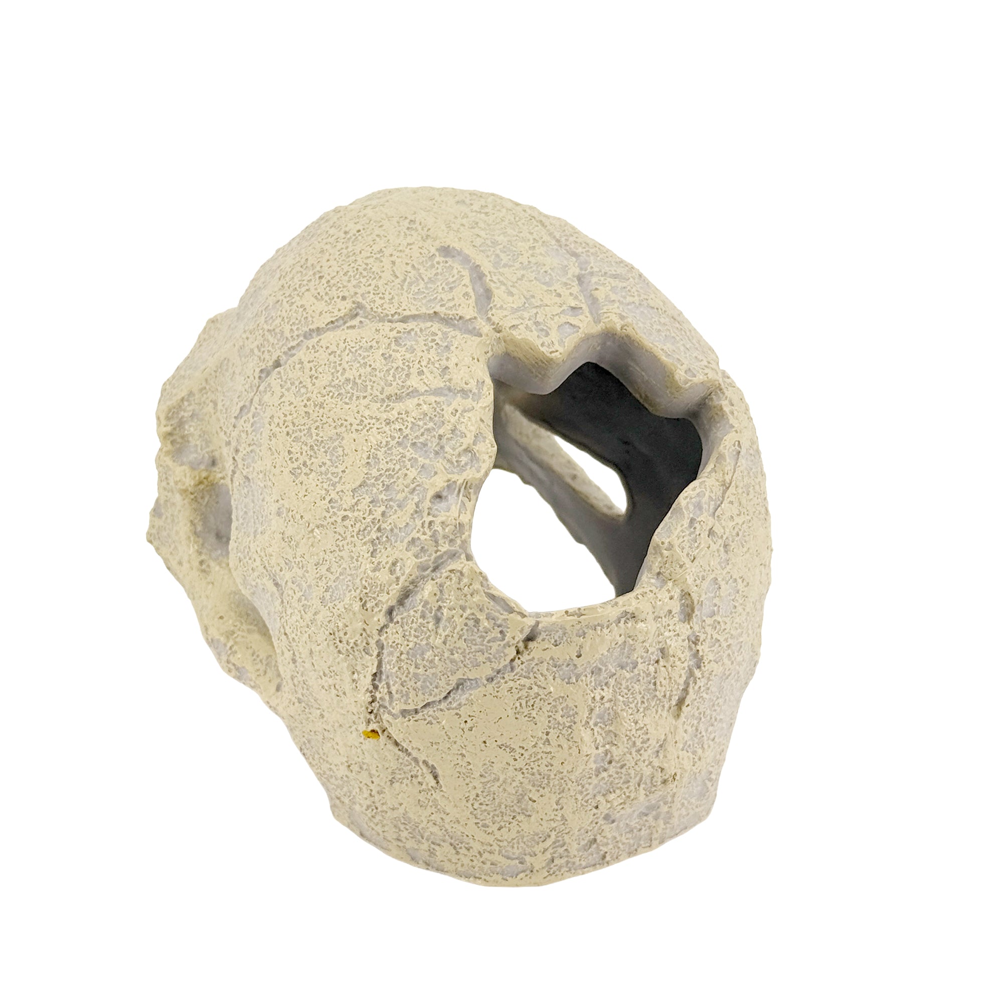 Human Skull Aquarium Decor – Resin Sinking Hide for Betta Fish, Shrimp & Small Aquatic Pets
