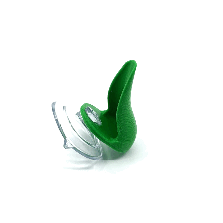 Dart Frog Leaf Pod - Bromeliad Leaf Hide
