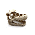 Mini T-Rex Skull Aquarium & Reptile Tank Decor – Small Dinosaur Fossil Hideout Ornament for Fish Tanks, Geckos, Hermit Crabs, and Terrariums – Resin Jurassic Decoration for Aquascape, Vivarium & Pet Habitat
