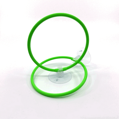 Betta Training Rings – 2 Pack Exercise Loops