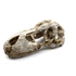 T-Rex Skull Fossil Head Tank Ornament – 5.7" Large Dinosaur Bone Decoration for Aquariums, Terrariums & Reptile Habitats – Resin Jurassic Statue for Fish, Lizards, Geckos & More