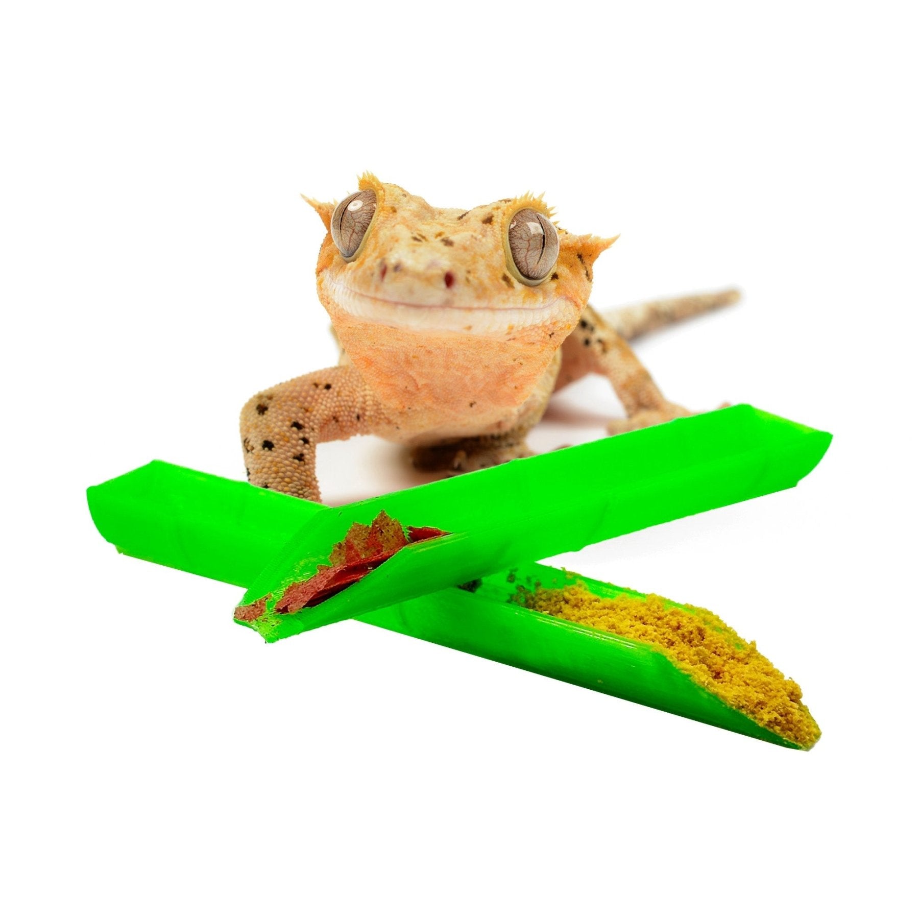 Feeding Spoons – 2 Pack for Fish & Reptiles - Wild Pet Supply