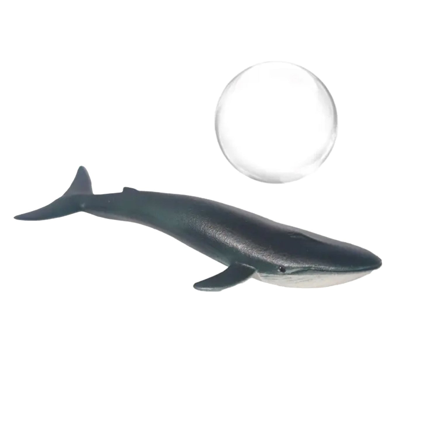 Floating Shark – Drifts with Water Current - Wild Pet Supply