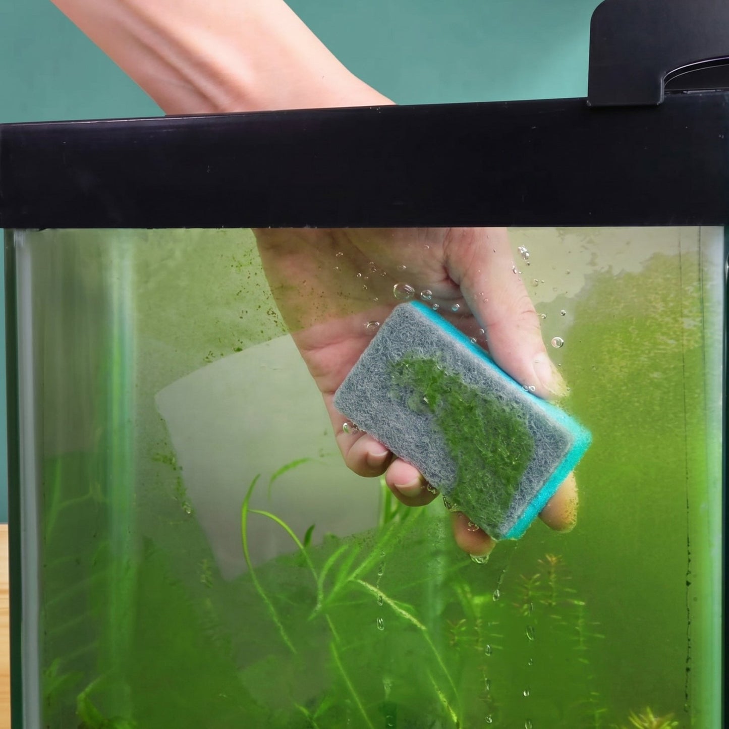 Glass Algae Scrubber – Dual-Sided Sponge - Wild Pet Supply