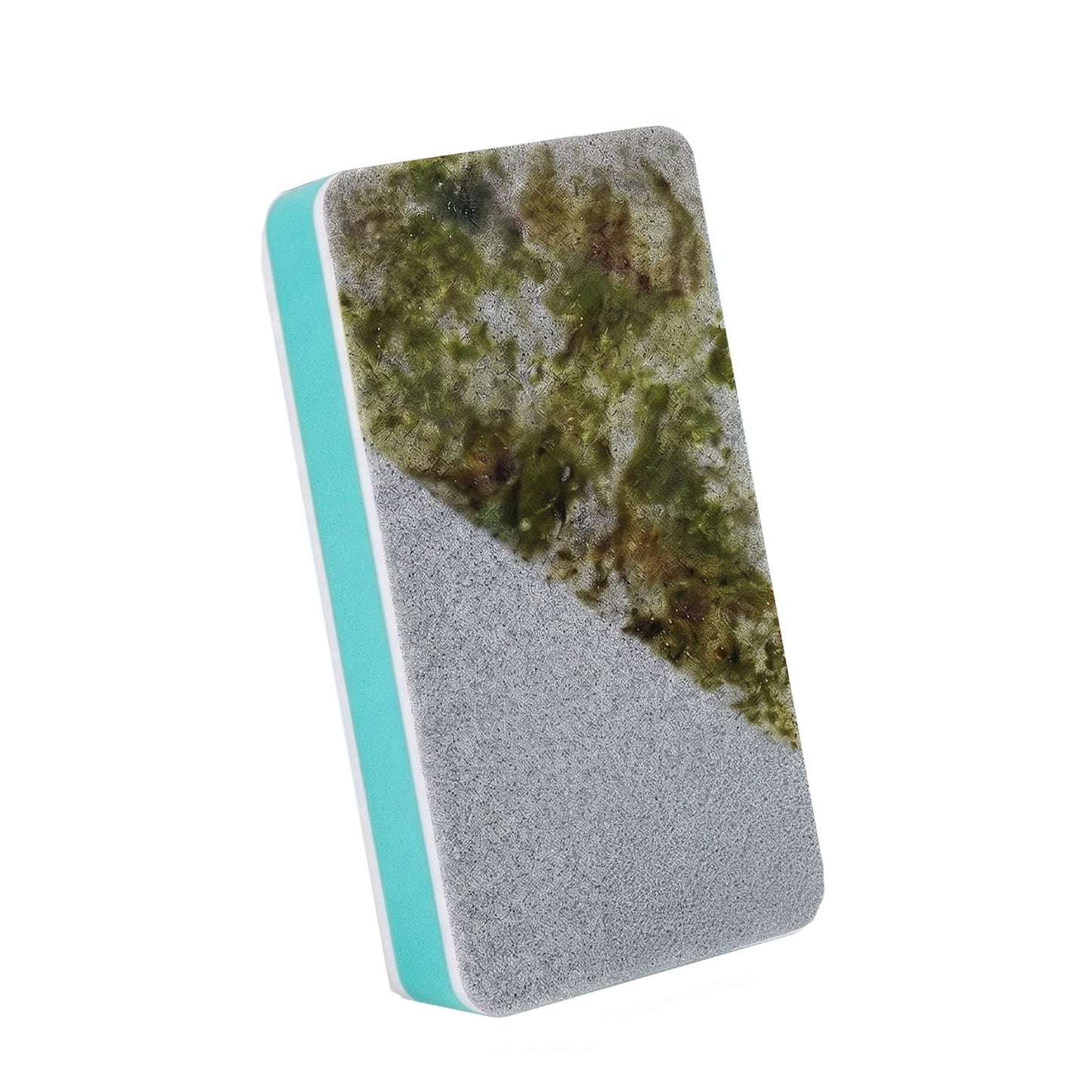 Glass Algae Scrubber – Dual-Sided Sponge - Wild Pet Supply