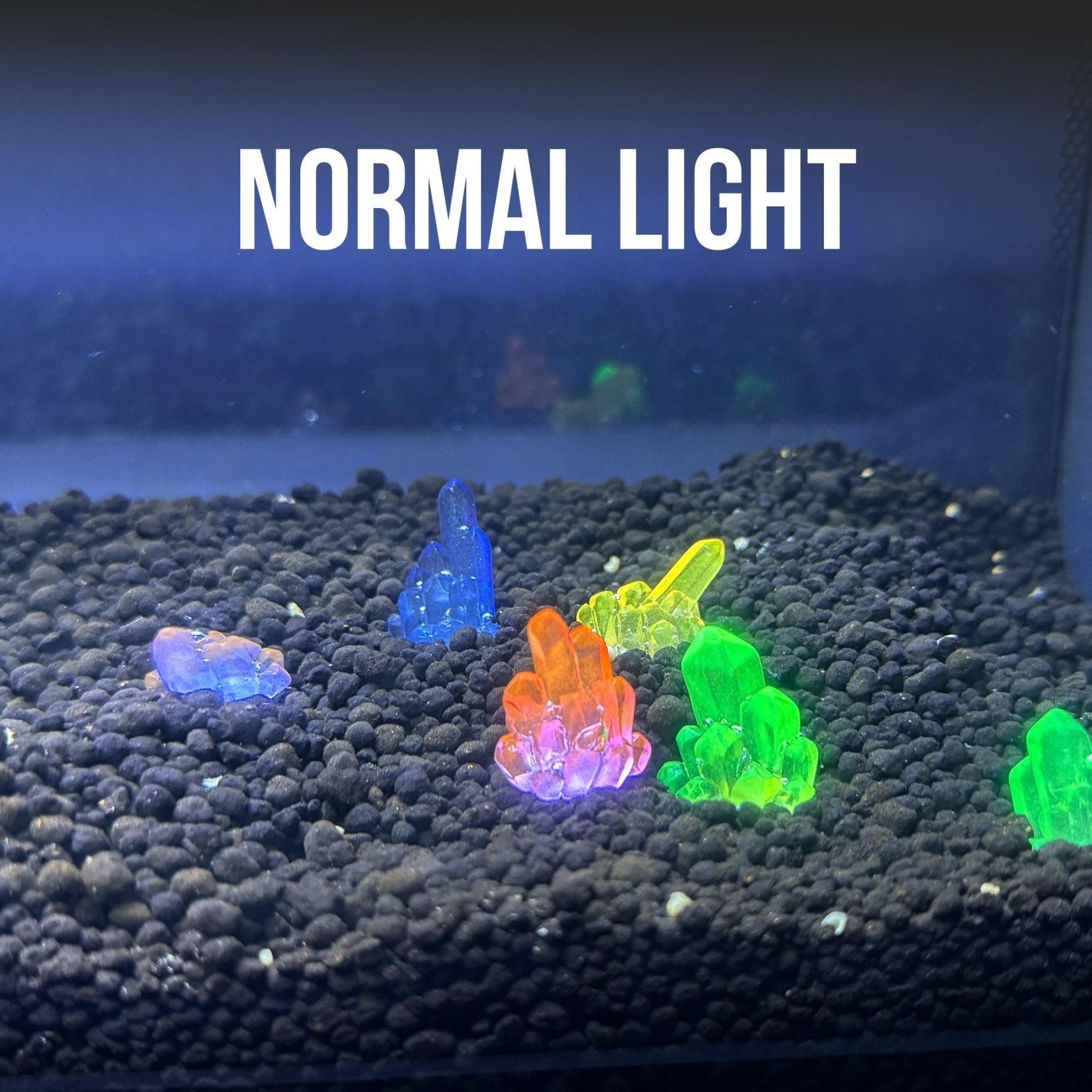 Glow Betta Stones – Aquarium Pebble Decor - Wild Pet Supply