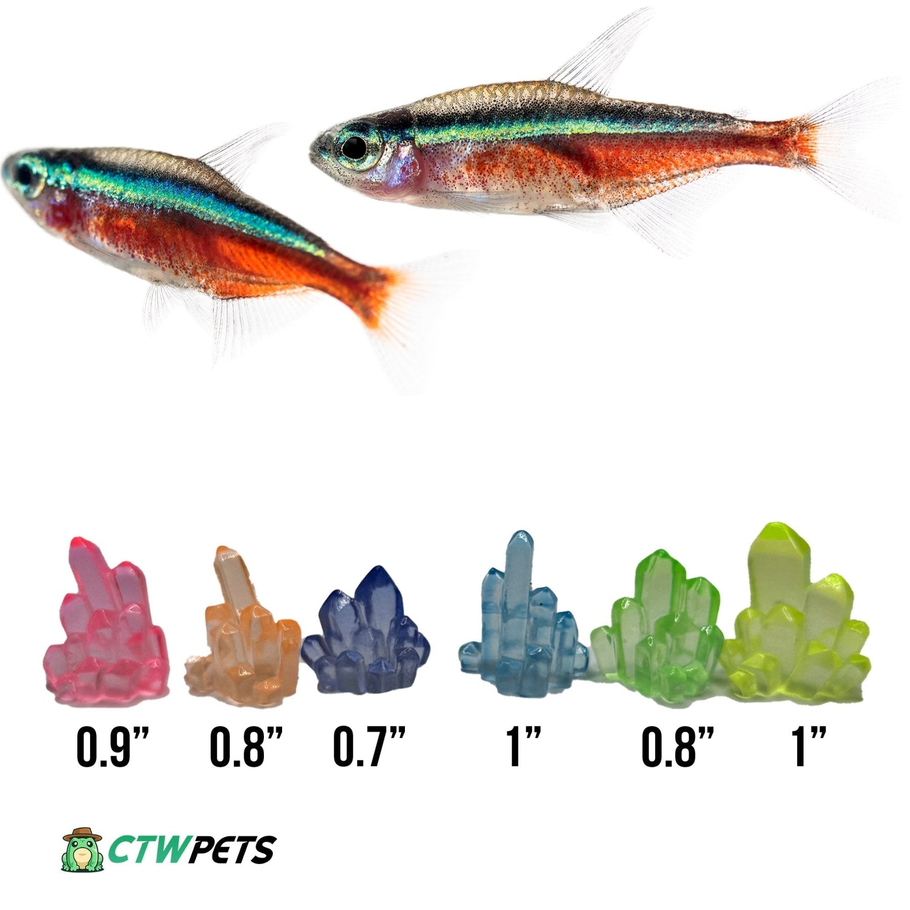 Glow Betta Stones – Aquarium Pebble Decor - Wild Pet Supply