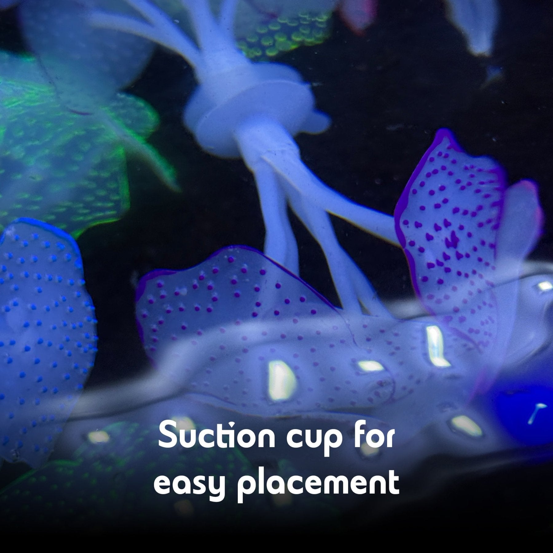Glowing Artificial Coral – Starlight Feather Silicone Aquarium Decoration for UV & Blue Light Tanks - Wild Pet Supply