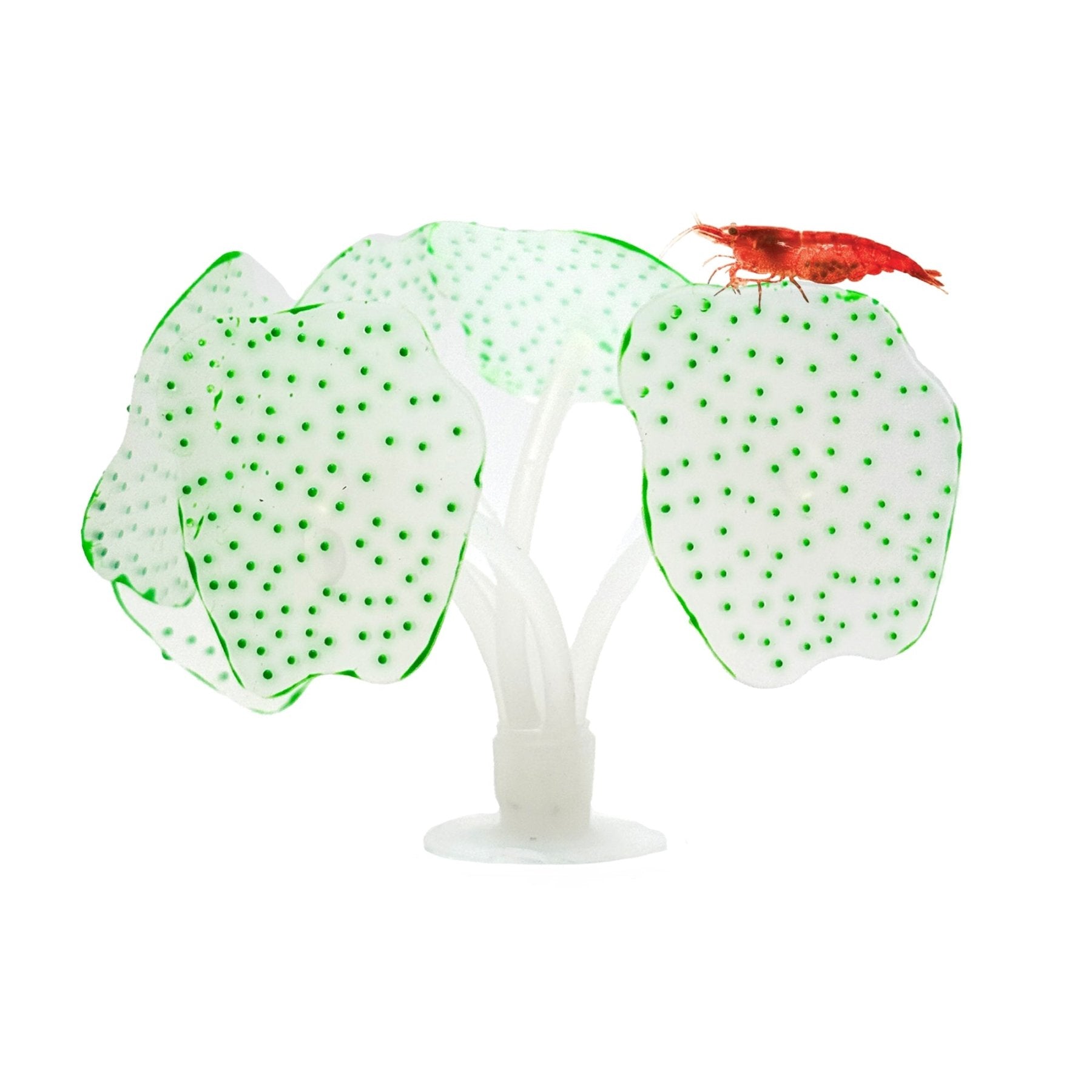 Glowing Artificial Coral – Starlight Feather Silicone Aquarium Decoration for UV & Blue Light Tanks - Wild Pet Supply