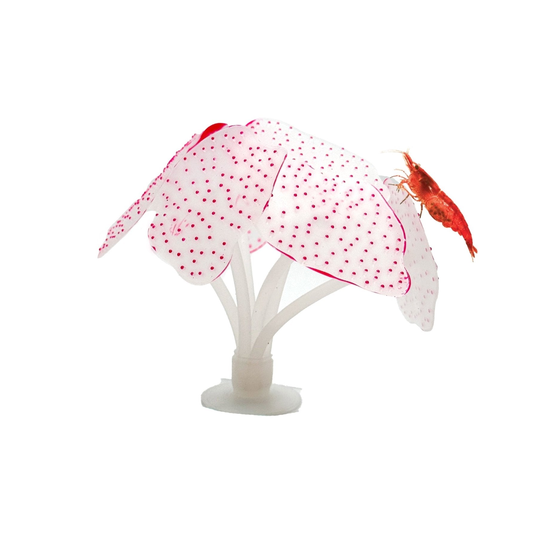 Glowing Artificial Coral – Starlight Feather Silicone Aquarium Decoration for UV & Blue Light Tanks - Wild Pet Supply