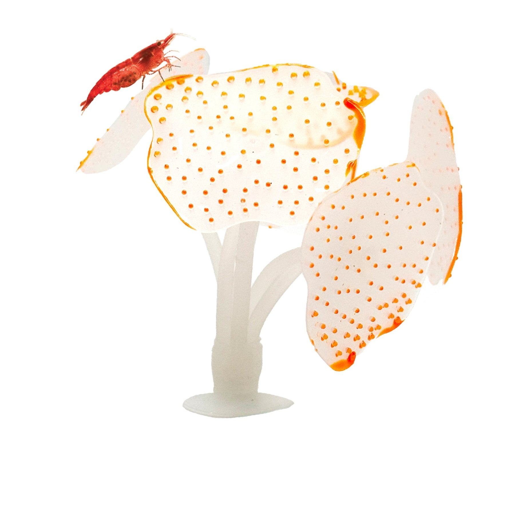 Glowing Artificial Coral – Starlight Feather Silicone Aquarium Decoration for UV & Blue Light Tanks - Wild Pet Supply