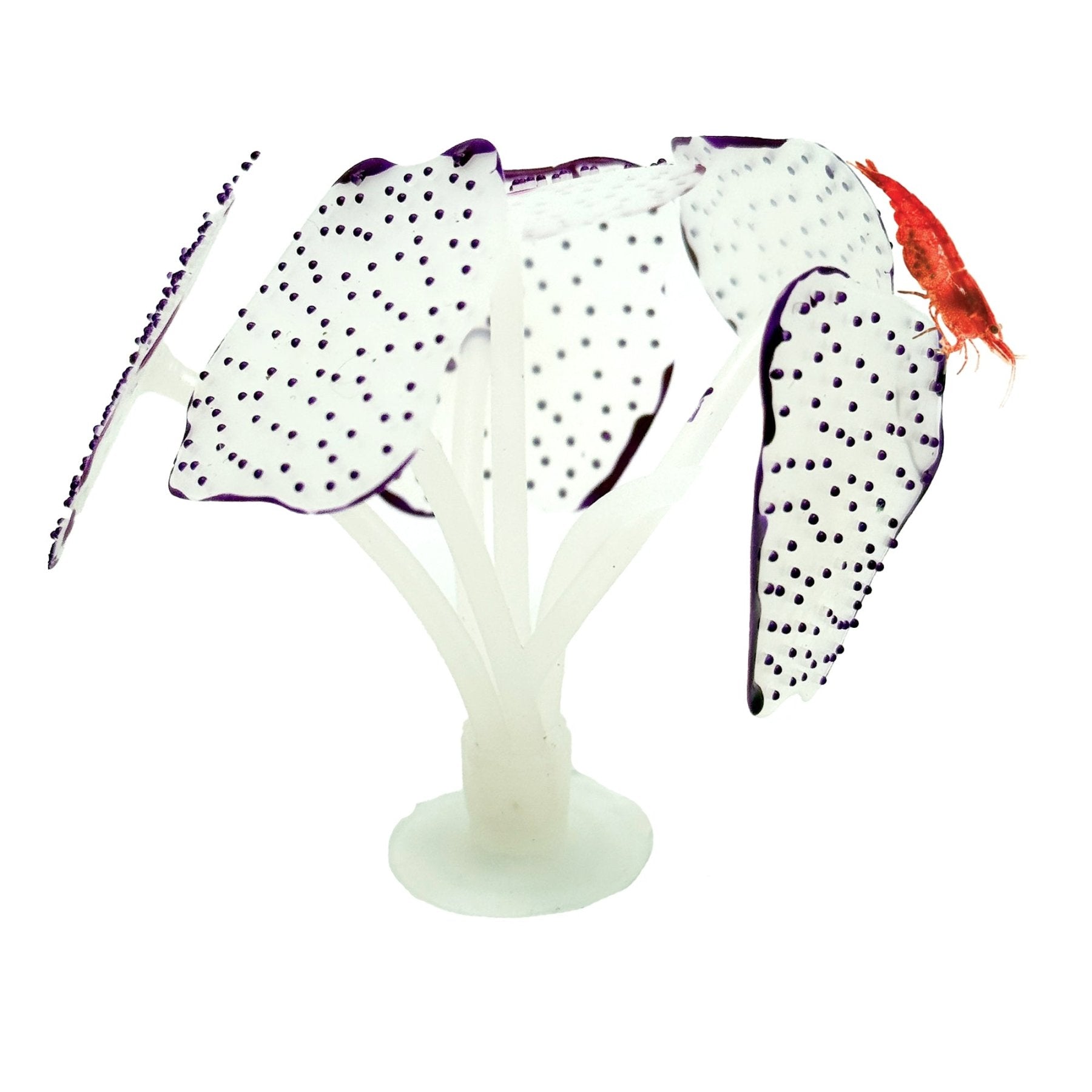 Glowing Artificial Coral – Starlight Feather Silicone Aquarium Decoration for UV & Blue Light Tanks - Wild Pet Supply