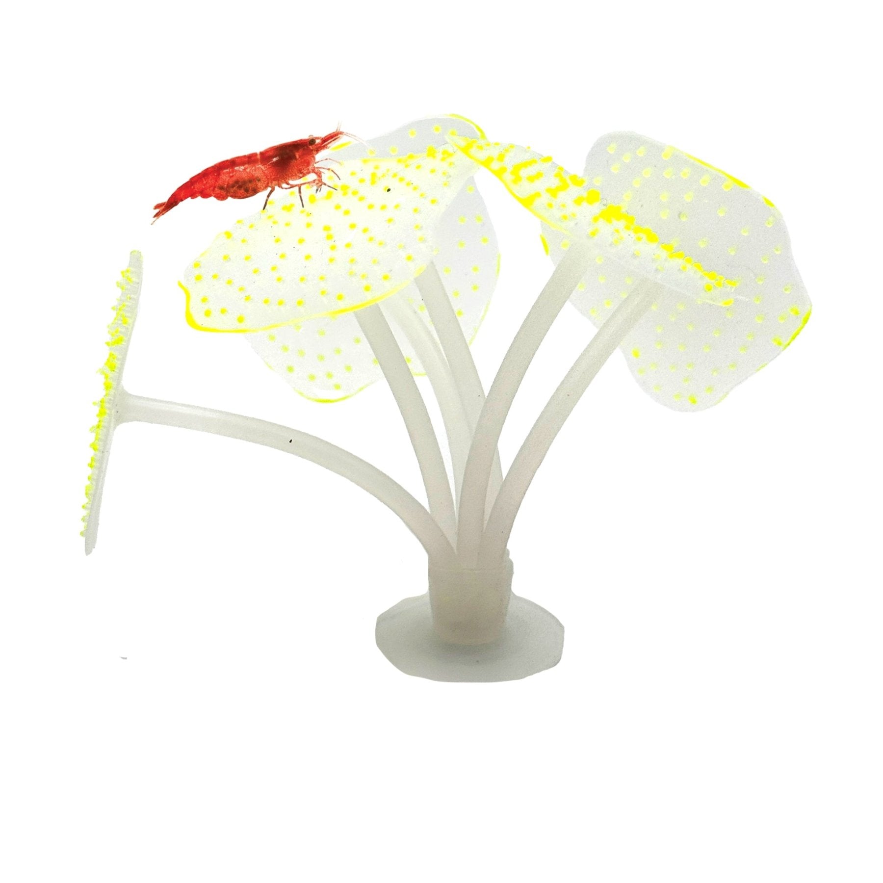 Glowing Artificial Coral – Starlight Feather Silicone Aquarium Decoration for UV & Blue Light Tanks - Wild Pet Supply