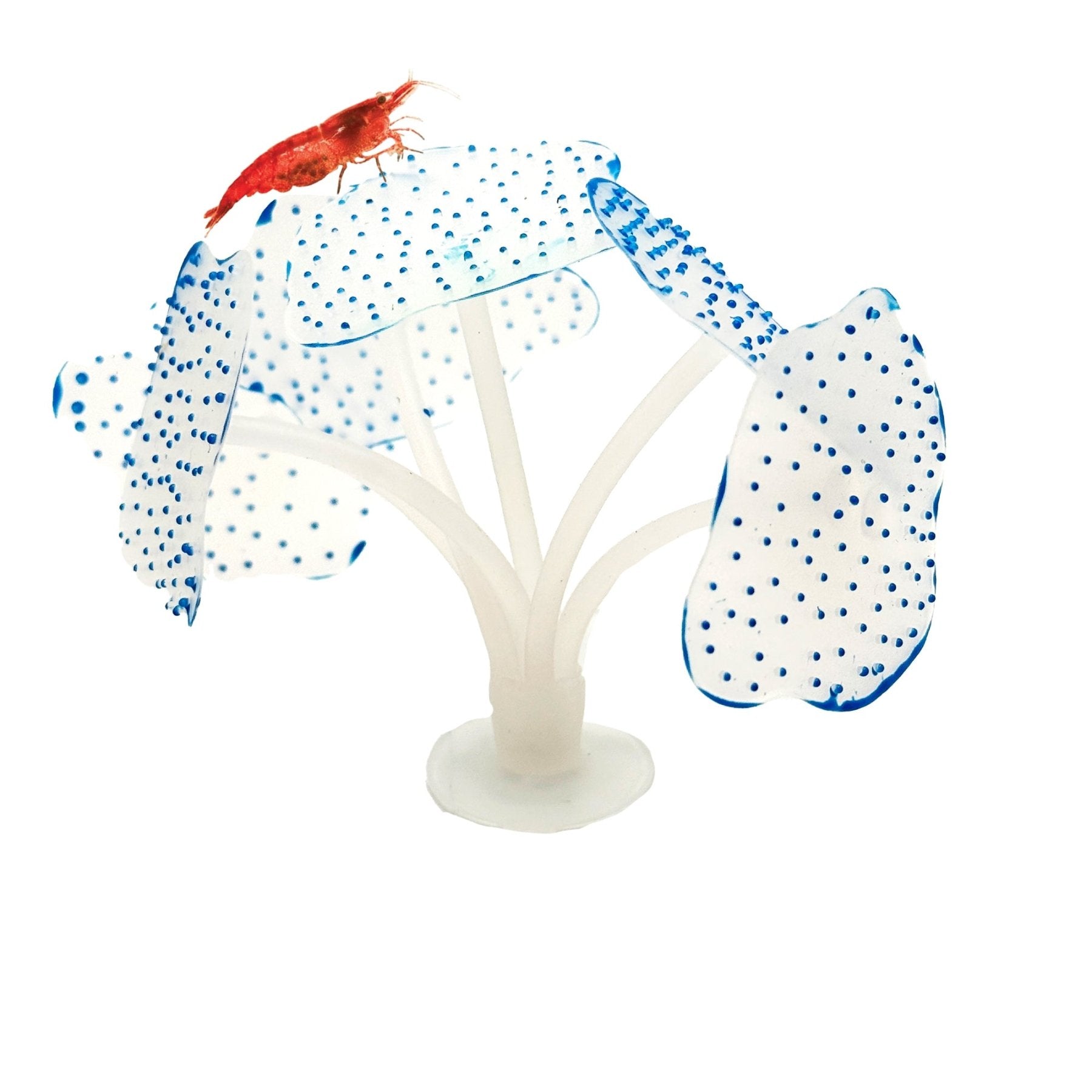 Glowing Artificial Coral – Starlight Feather Silicone Aquarium Decoration for UV & Blue Light Tanks - Wild Pet Supply