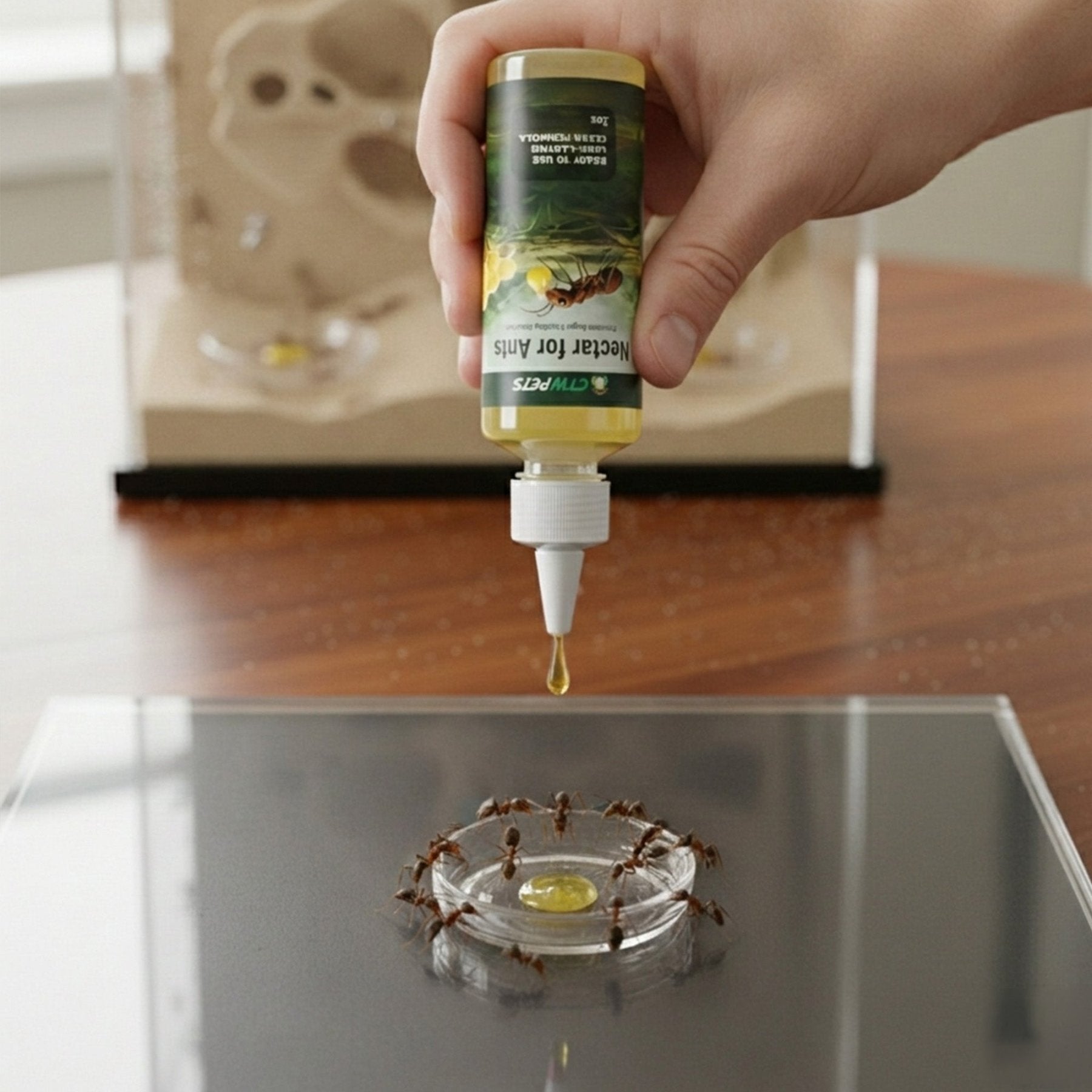Golden Nectar – Liquid Ant Formicarium Food - Wild Pet Supply