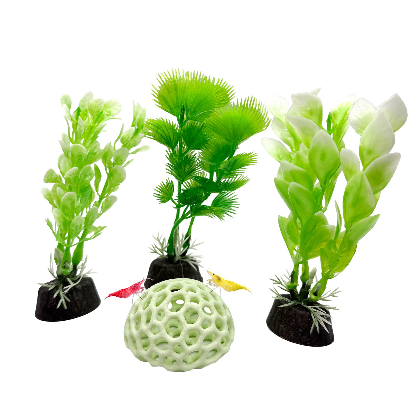Shrimp Decor 4-Pack – Plants and Dome Hide