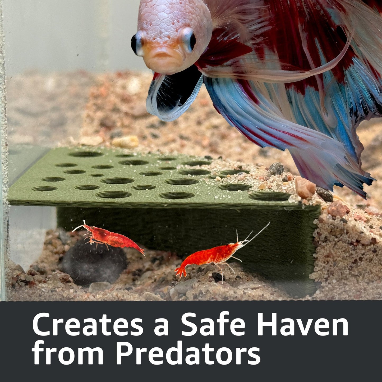 Half Shrimp Breeding Protector | Shrimp Breeding Cave Aquarium Tunnel - Wild Pet Supply