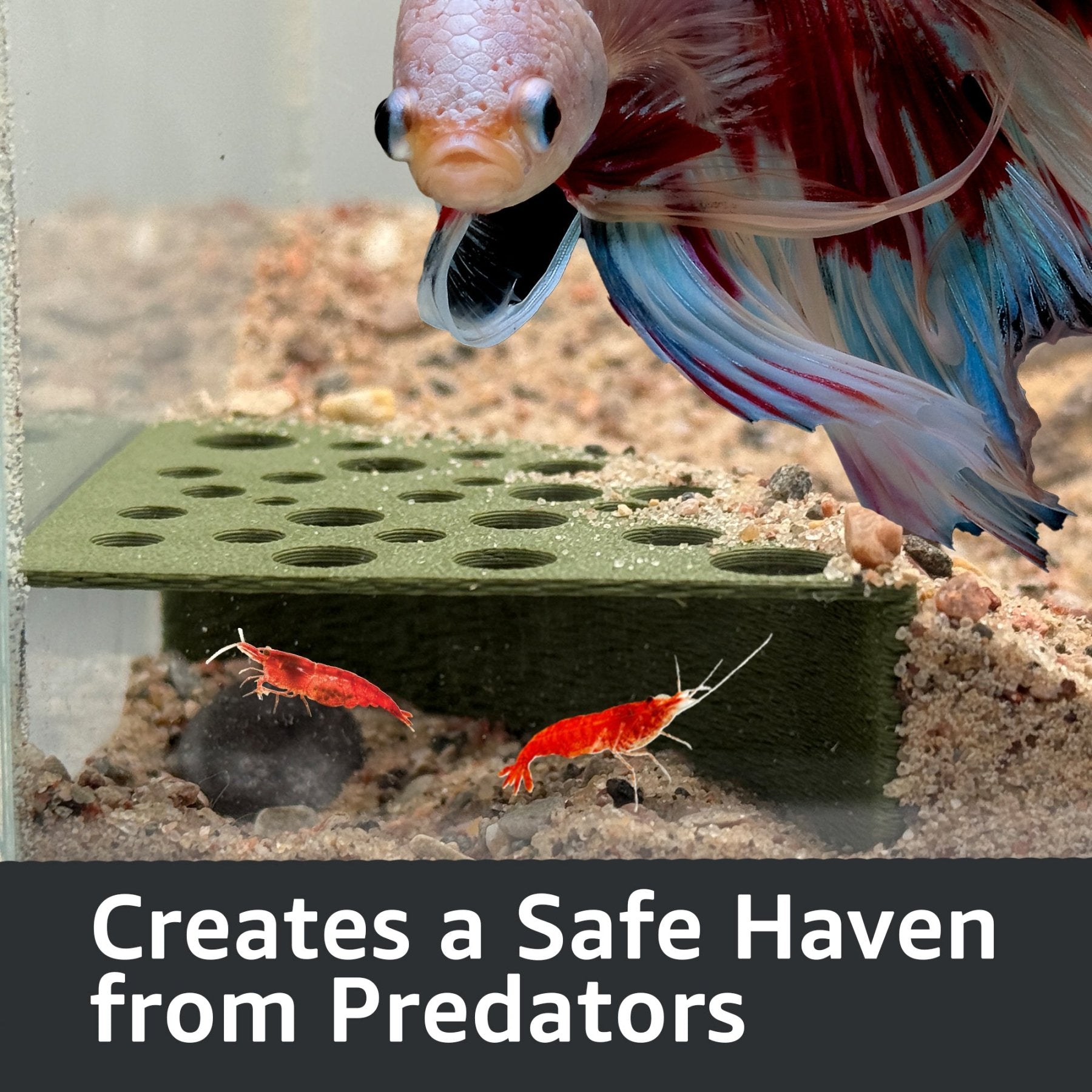 Half Shrimp Breeding Protector | Shrimp Breeding Cave Aquarium Tunnel - Wild Pet Supply