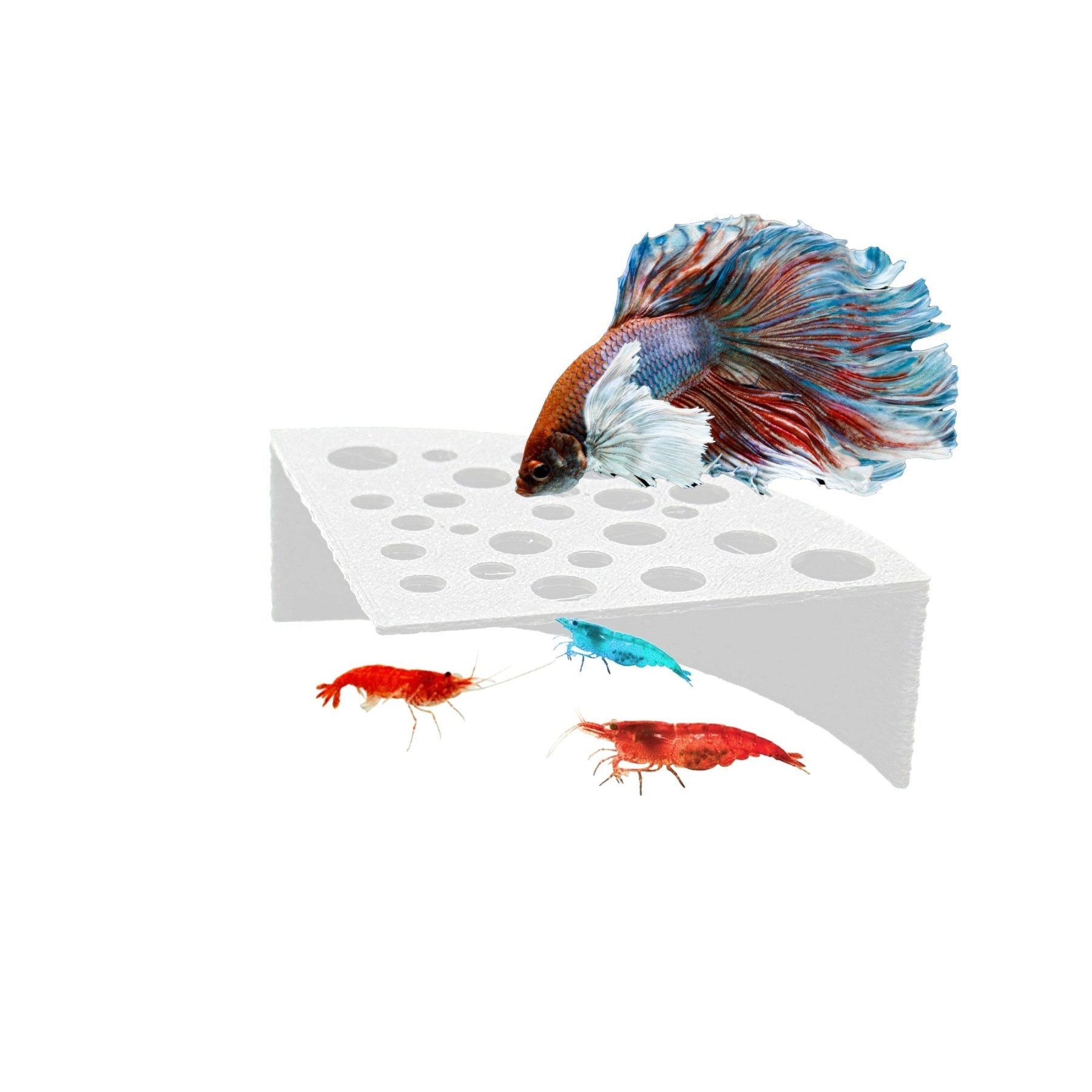 Half Shrimp Breeding Protector | Shrimp Breeding Cave Aquarium Tunnel - Wild Pet Supply